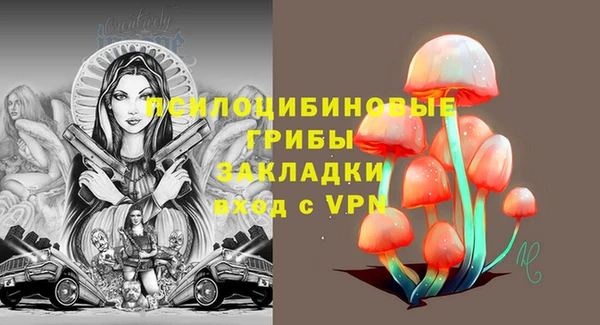 PSILOCYBIN Богородицк